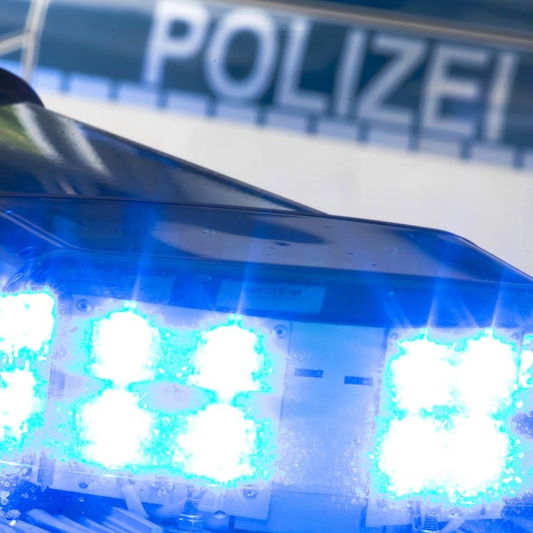 Blaulicht der Polizei (Foto: dpa Bildfunk, picture alliance/dpa/Friso Gentsch)