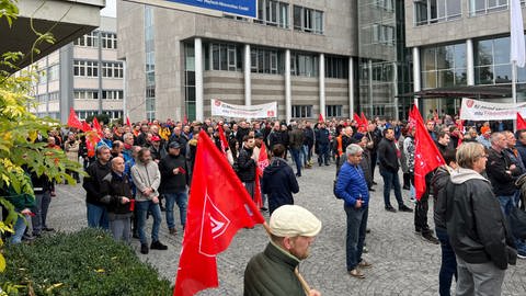 Viele Menschen stehen in Friedrichshafen und streiken. (Foto: SWR, Martina Meisenberg)