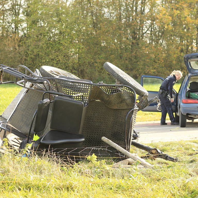 Bei dem Unfall bei Rot an der Rot (Kreis Biberach) kam am Sonntag (6.11.) ein Kutschfahrer ums Leben. (Foto: z-media, Ralf Zwiebler)