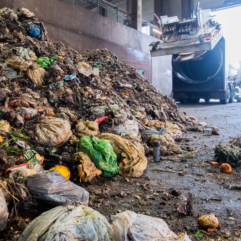 Ein Müllwagen entleert Biomüll auf einer Deponie.  (Foto: dpa Bildfunk, picture alliance/dpa/Julian Stratenschulte (Symbolbild))