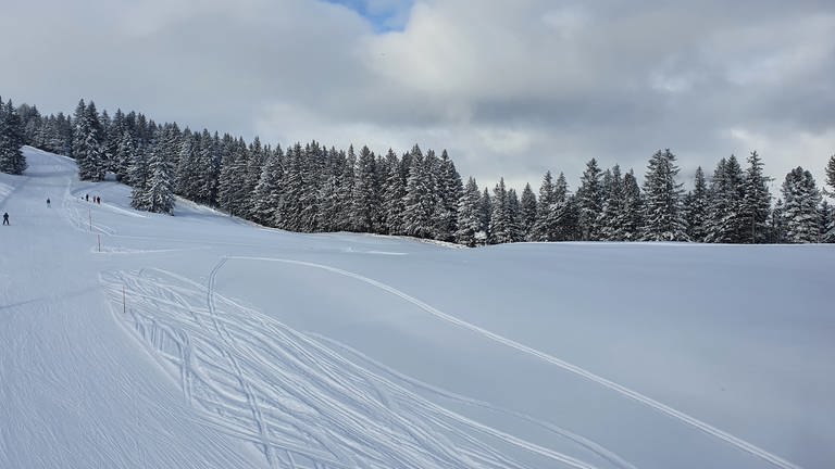 Schneebild Vorarlberg (Foto: SWR, Friederike Fiehler)