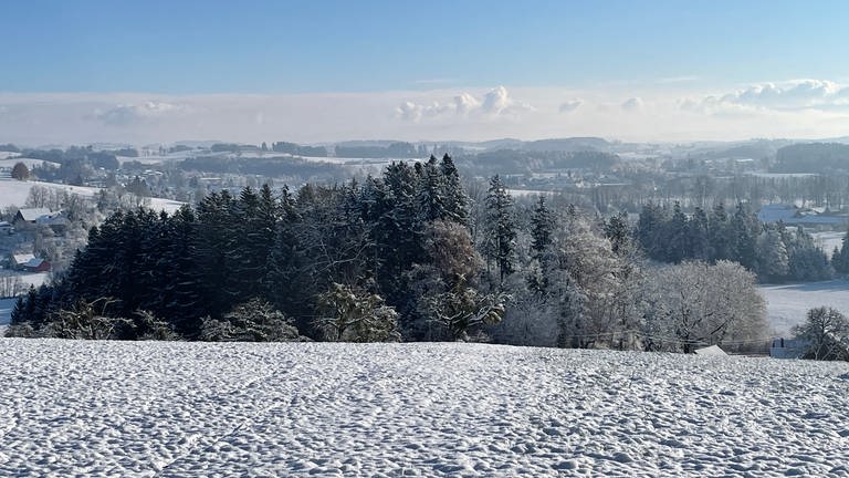 Schnee liegt im Allgäu auf der Wiese und auf Bäumen im Dezember 2022 (Foto: SWR, Wolfgang Wanner)