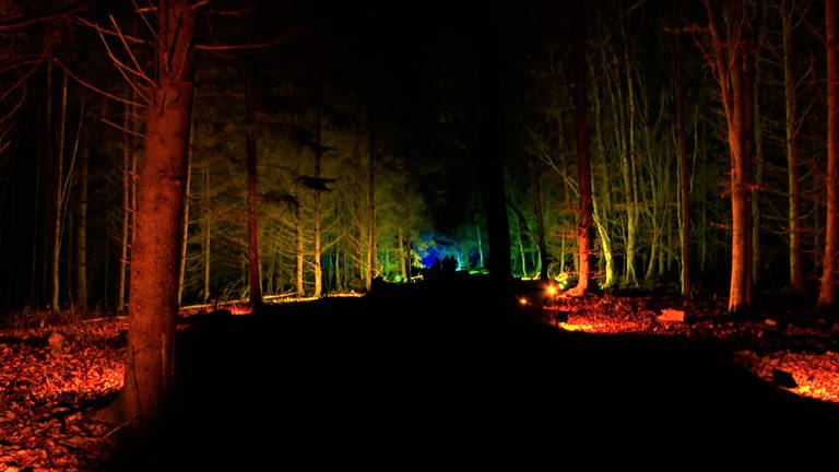 Winterwald bunt beleuchtet in Bad Waldsee (Foto: SWR, Theresia Blömer)