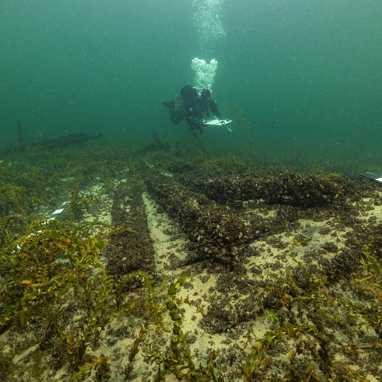 Ein Forschungstaucher vermisst ein Schiffswrack im Bodensee. (Foto: Pressestelle, Landesamt für Denkmalpflege im Regierungspräsidium Stuttgart, Submaris)