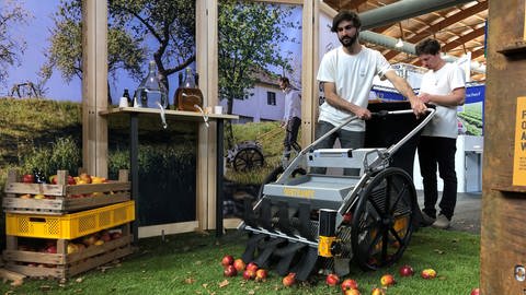Ein Mann schiebt einen Apfelsammler auf der Messe Fruchtwelt Bodensee über einen Kunstrasen und zeigt wie Äpfel eingesammelt werden. (Foto: SWR, Martin Hattenberger)