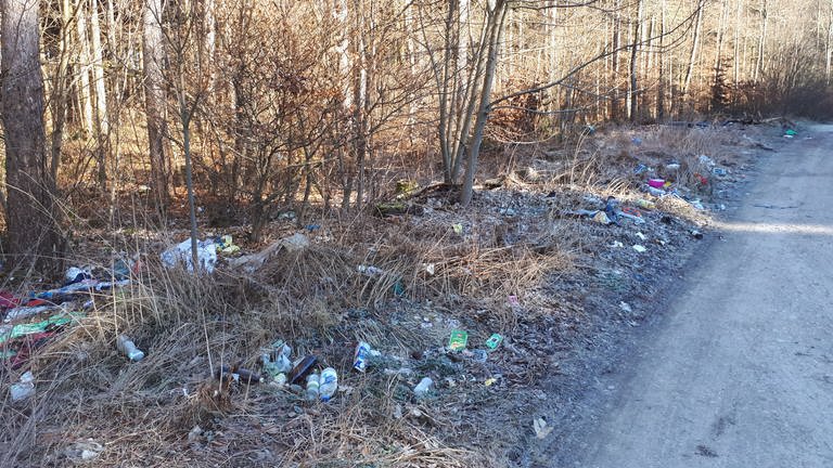 Illegal entsorgter Müll am Waldrand (Foto: Pressestelle, Kreis Sigmaringen)