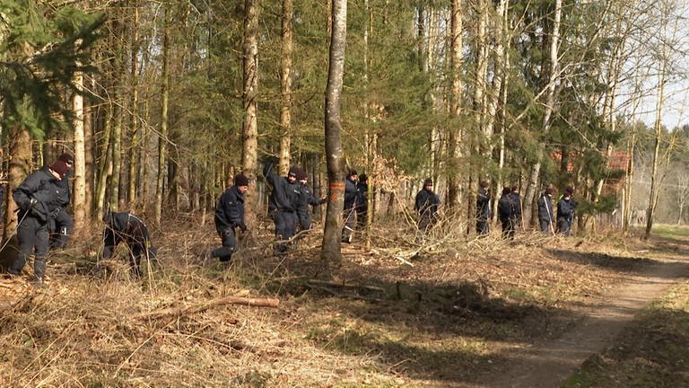 Polizisten durchsuchen ein Waldstück. (Foto: SWR)
