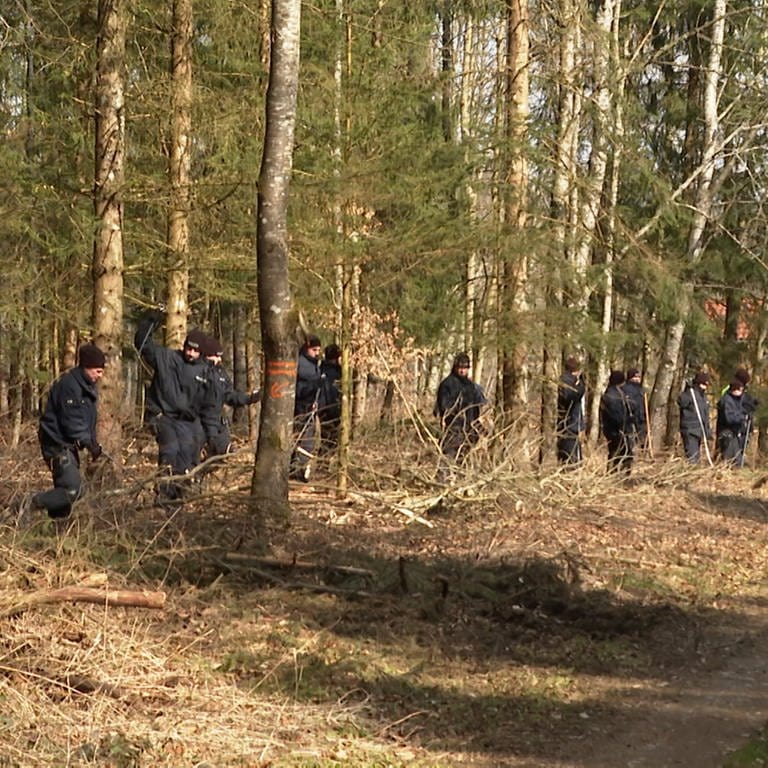 Polizisten durchsuchen ein Waldstück.