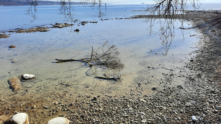 Niedrigwasser am Bodensee bei Konstanz im März 2023.