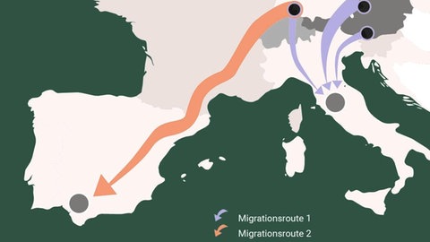 Neue Route der Waldrappe nach Spanien (Foto: Pressestelle, Waldrapp-Team)