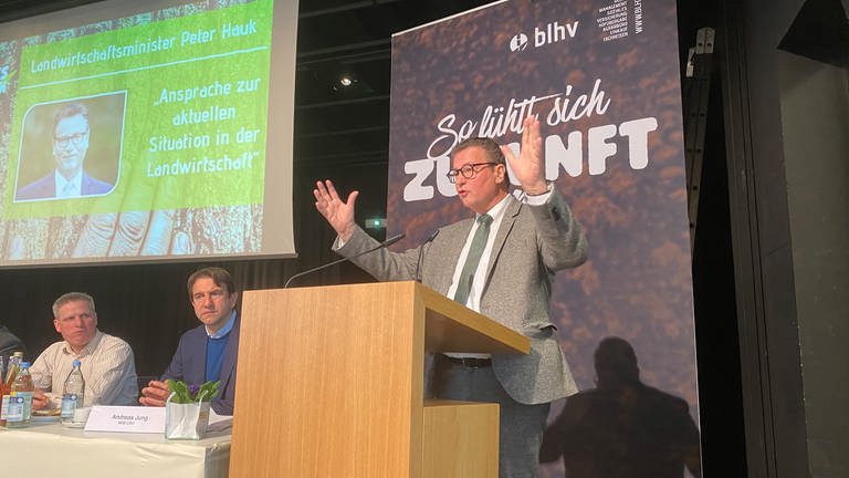 Der baden-württembergische Landwirtschaftsminister Peter Hauk (CDU) war Gastredner beim badischen Landesbauerntag. (Foto: SWR, Rebecca Lüer)