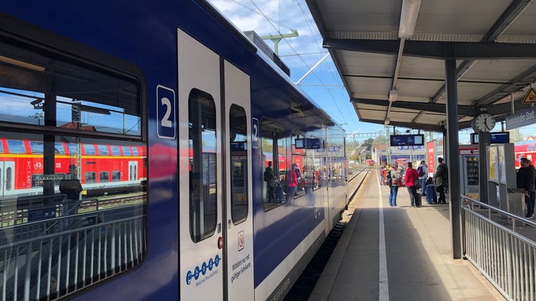 Ein blauer Zug steht am Stadtbahnhof in Friedrichshafen (Foto: SWR, Moritz Kluthe)