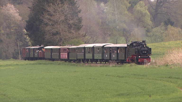 Eine historische Schmalspurbahn fährt durch die Landschaft (Foto: SWR)
