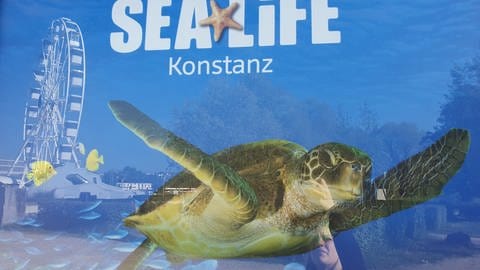SEA LIFE Konstanz.  (Foto: SWR)