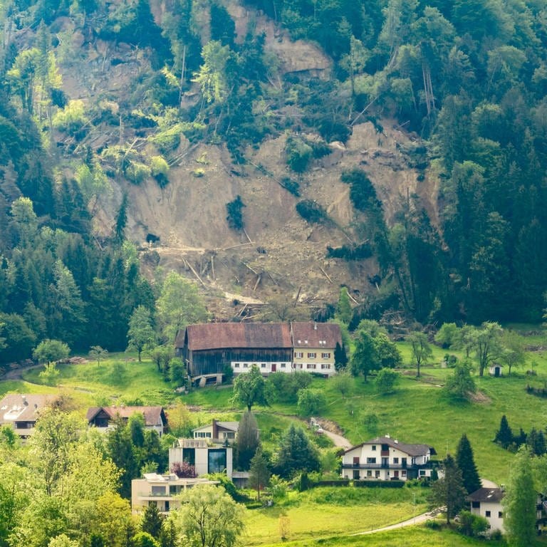 Der Hangrutsch bei Hörbranz (Vorarlberg). (Foto: dpa Bildfunk, Dietmar Stiplovsek)
