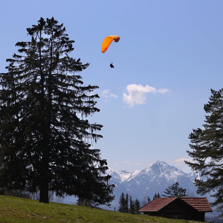 Ein Gleitschirmflieger schwebt über Bäume hinweg (Symbolbild). (Foto: dpa Bildfunk, picture alliance / Karl-Josef Hildenbrand)