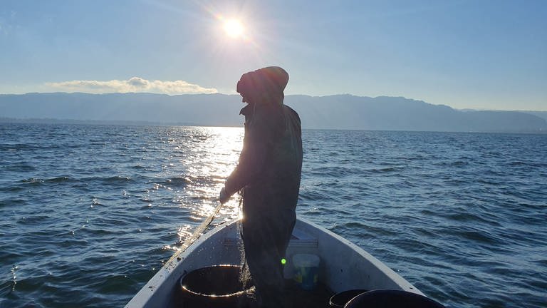Ein Fischer auf dem Bodensee. Er holt im Sonnenaufgang seine Netze ein.
