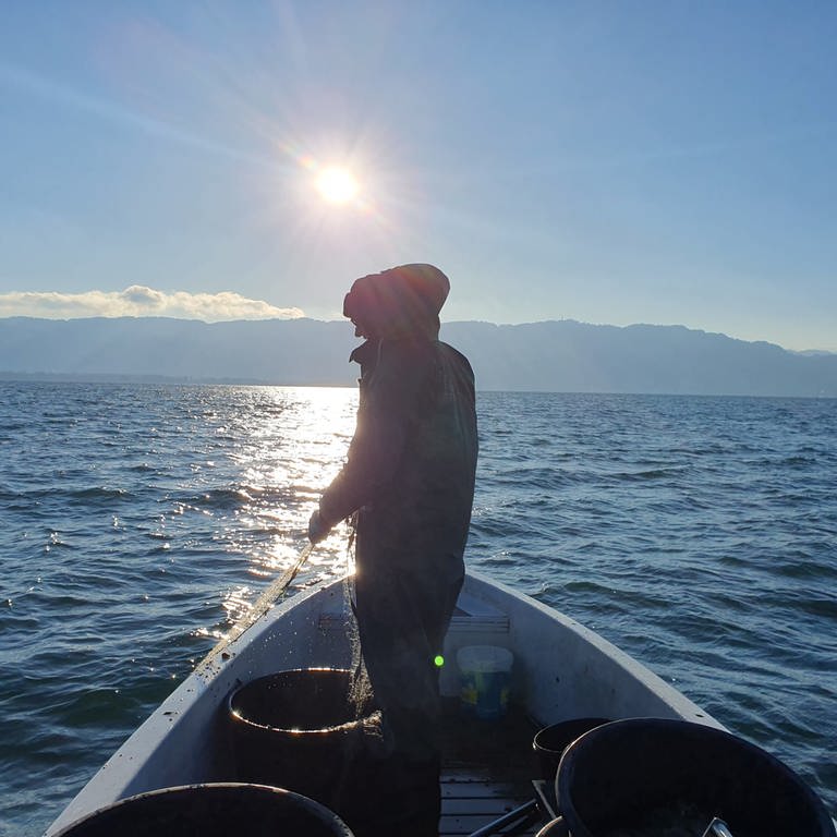 Ein Fischer auf dem Bodensee. Er holt im Sonnenaufgang seine Netze ein. (Foto: SWR, Friederike Fiehler)