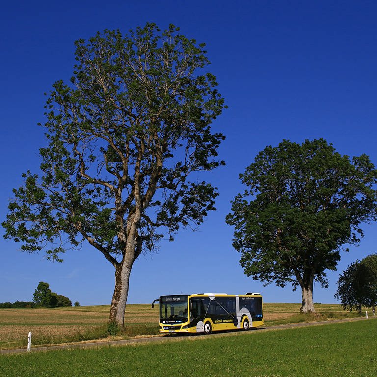 Bodo - Busverkehr im ländlichen Raum