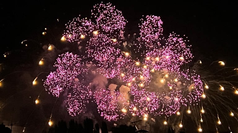 Feuerwerk beim Konstanzer Seenachtfest 2023.