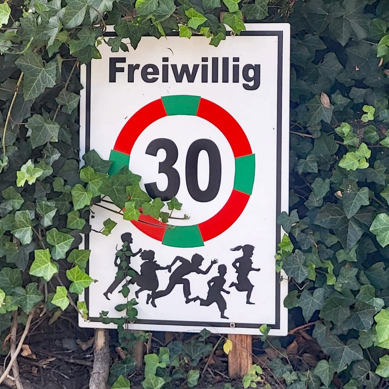 "Freiwillig 30"-Schilder auf der Halbinsel Höri im Kreis Konstanz.