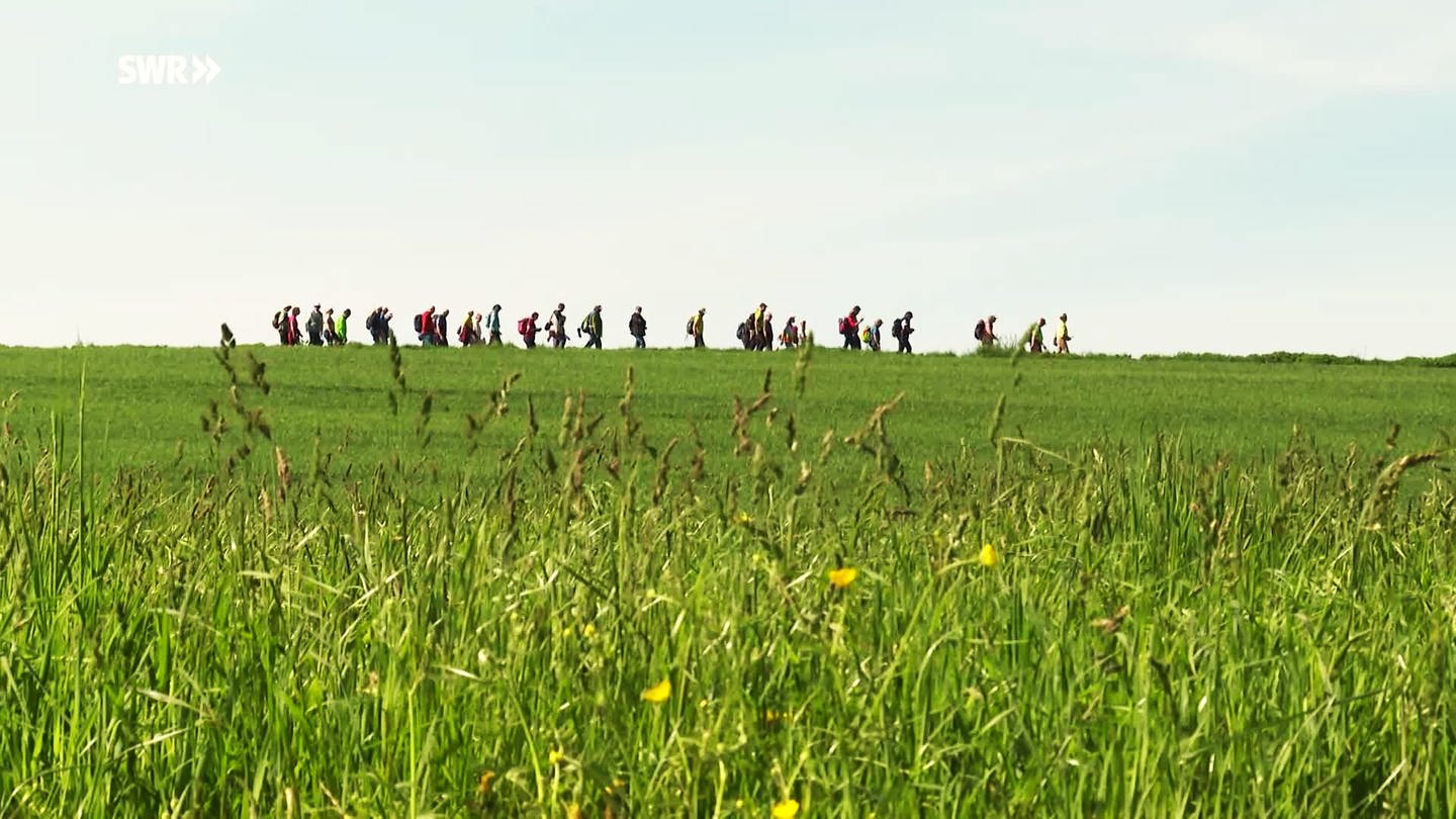 Wanderführer aus Baden-Württemberg treffen sich auf der Höri (Foto: SWR)