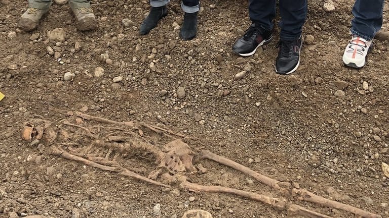 Mehrere Menschen stehen vor einem ausgegrabenen Skelett.