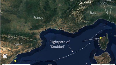 Auf einer Karte ist die Flugroute von Waldrapp Knubbel eingezeichnet. Sie führt quer über das Mittelmeer von Italien nach Spanien.