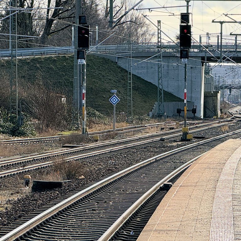 Der Bahnstreik betrifft den Bahnhof Biberach. Leere Gleise und Anzeigen mit Achtung Bahnstreik der GDL sind zu sehen. (Foto: SWR, Johannes Riedel)