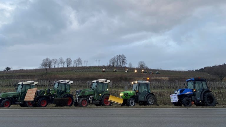 In Hagnau protestieren die Landwirte mit ihren Traktoren (Foto: SWR, Theresia Blömer)