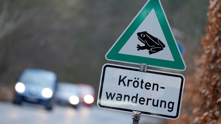 Ein Hinweisschild zur Krötenwanderung steht an einer Straße.