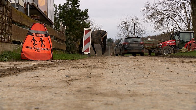Eine Straße führt mitten durch einen Bauernhof in Allensbach. (Foto: SWR)