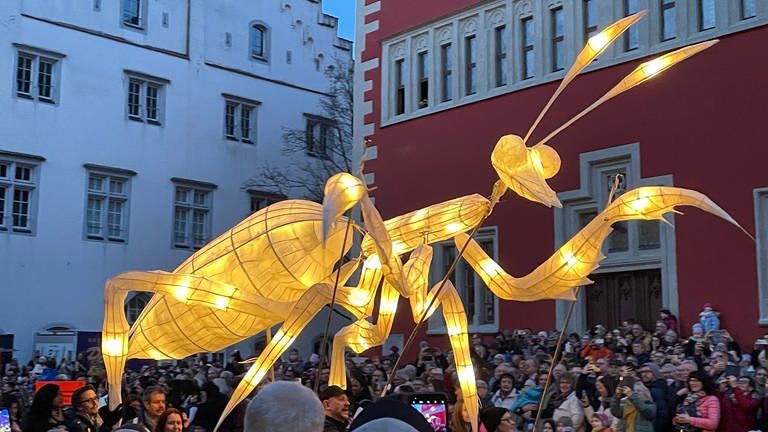 Fantasievolle Figuren leuchten in Ravensburg beim Lichterfest 2024