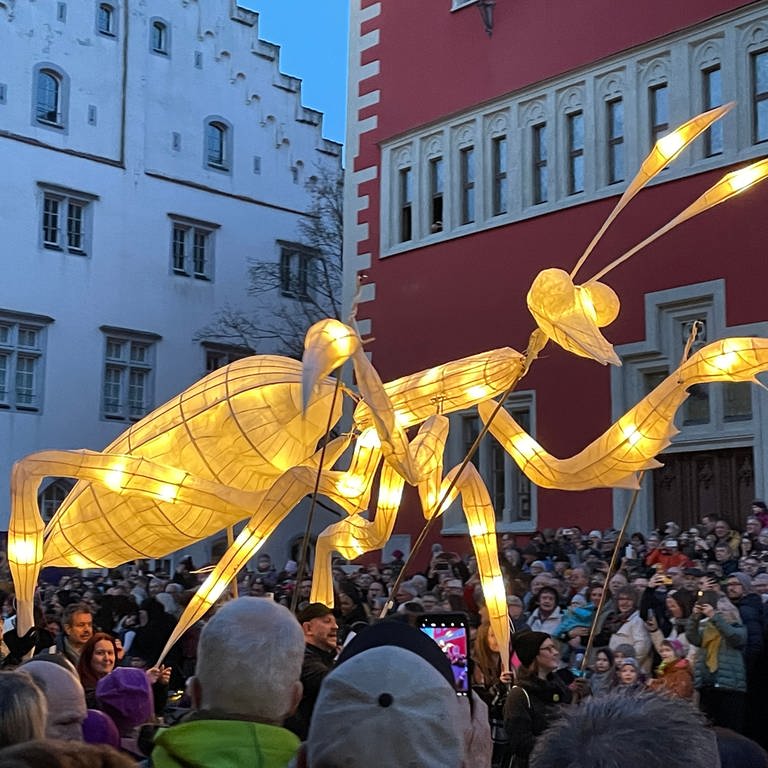 Fantasievolle Figuren leuchten in Ravensburg beim Lichterfest 2024 (Foto: SWR, Karin Wehrheim)