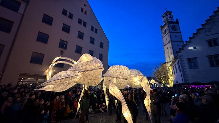 Fantasievolle Figuren leuchten in Ravensburg beim Lichterfest 2024 (Foto: SWR, Alfred Knödler)