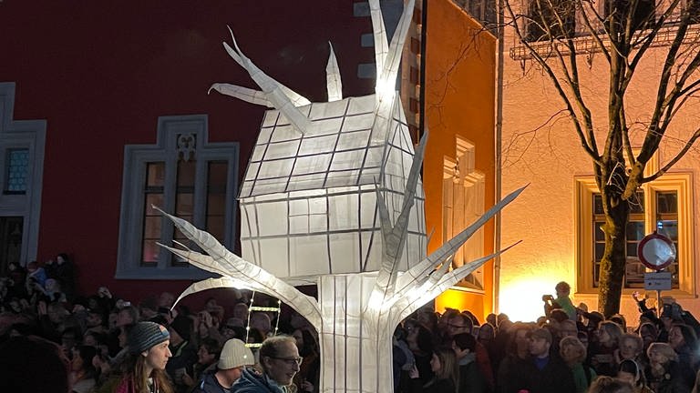 Fantasievolle Figuren leuchten in Ravensburg beim Lichterfest 2024 (Foto: SWR, Karin Wehrheim)