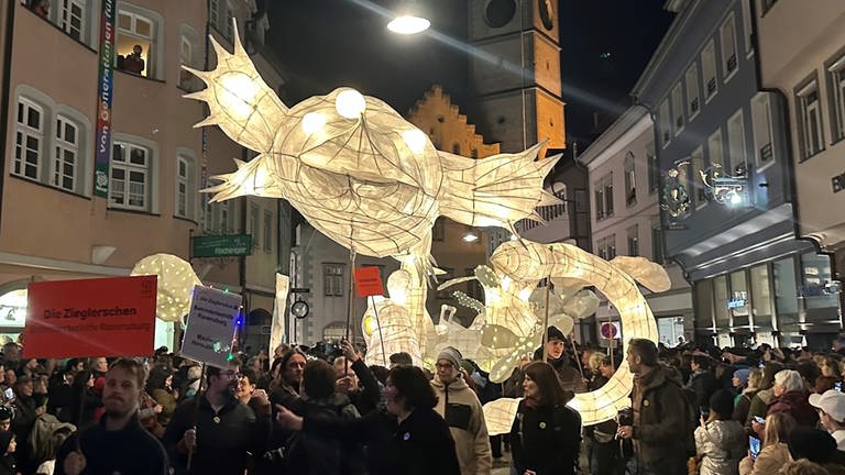 Fantasievolle Figuren leuchten in Ravensburg beim Lichterfest 2024 (Foto: SWR, Alfred Knödler)