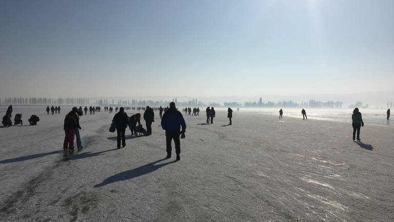 Im Winter zieht es Schlittschuhläufer auf den Gnadensee vor Hegne. (Foto: SWR, Caroline Geyer)