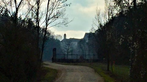 Schloss Langenstein im Landkreis Konstanz (Foto: SWR)