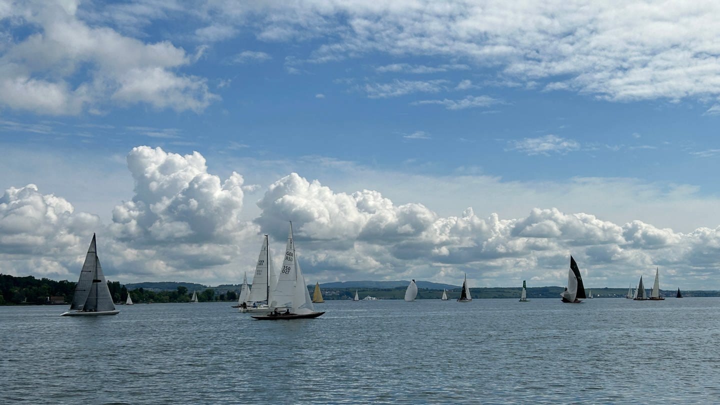 Oldtimer-Yachten und moderne Racer liefern sich vor Konstanz spannende Wettkämpfe. (Foto: SWR, Nadine Ghiba)