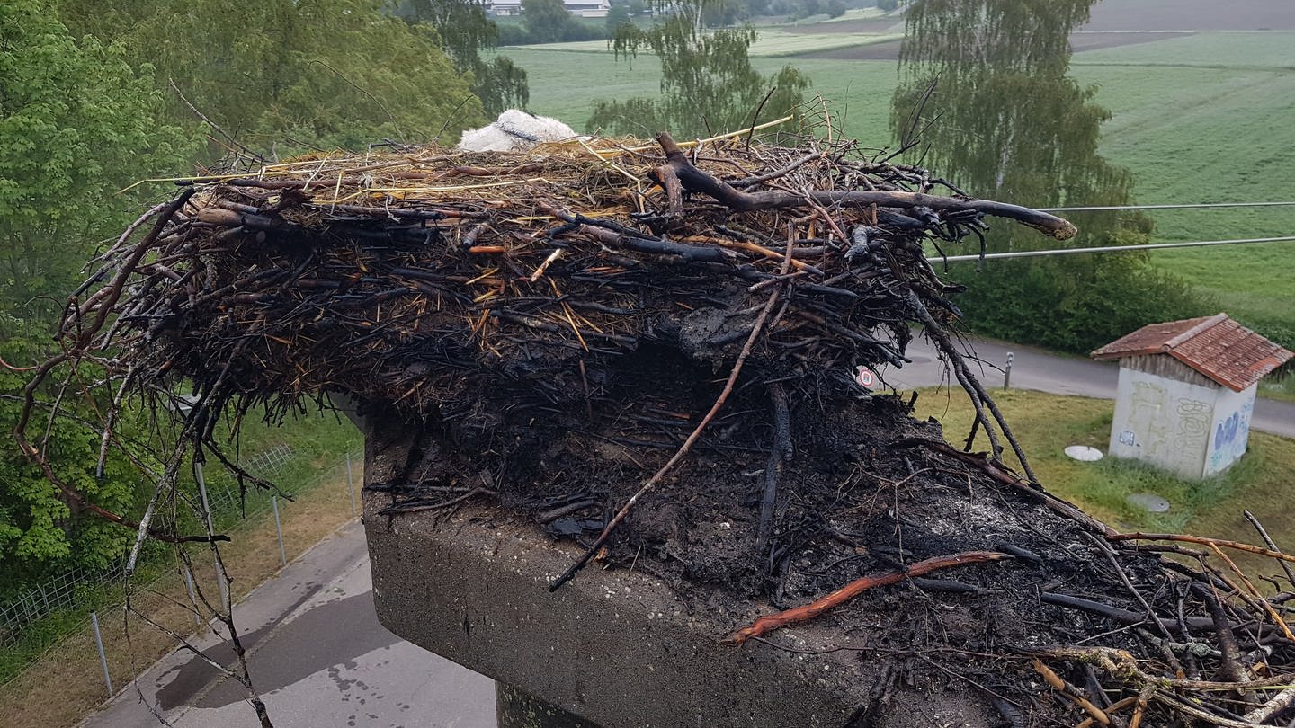 Das verbrannte Storchennest in Ostrach (Foto: Nabu Ostrach / Franz Laub)