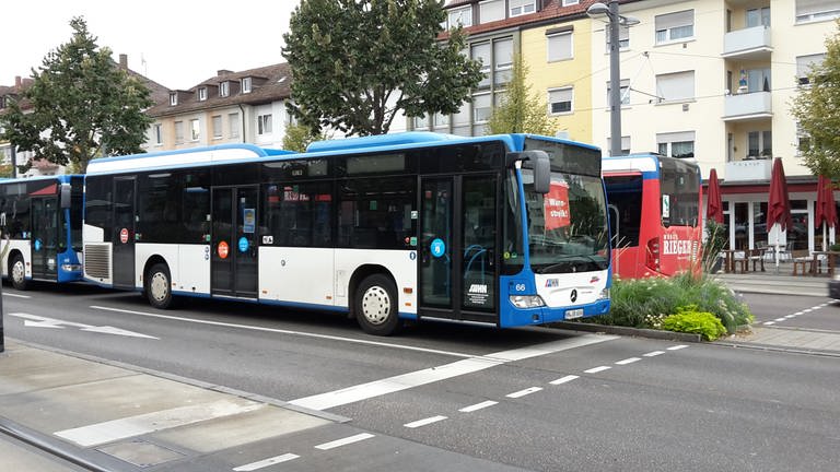 Busstreik in Heilbronn (Foto: SWR, Michael Köhler)