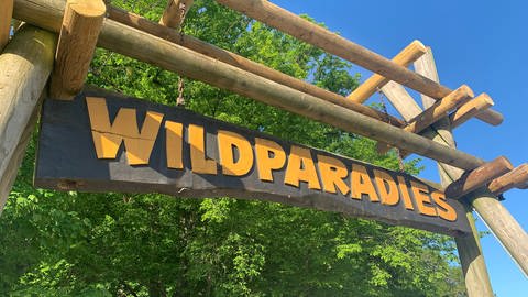 Eingangstor des Wildparadies Tripsdrill (Foto: SWR)