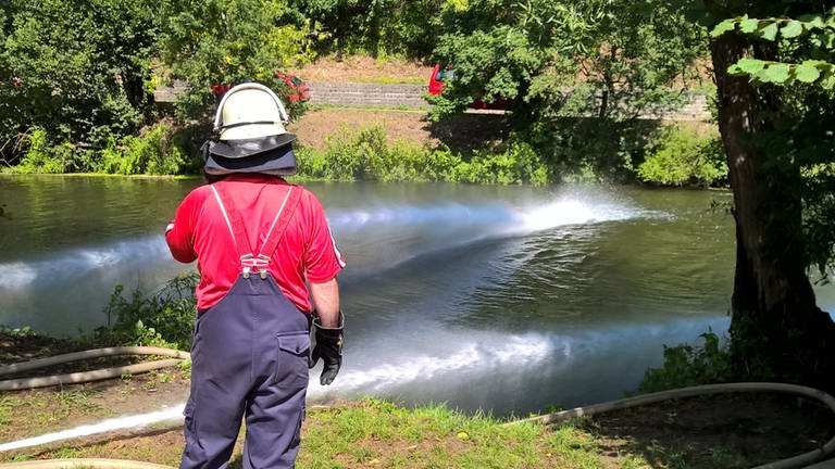 Feuerwehrmann blickt auf die Jagst - Mühlenbrand löste Fischsterben aus (Foto: SWR, (Archiv))