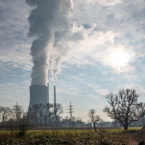 Kohlekraftwerk Heilbronn aus der Ferne mit Dampfsäule (Foto: SWR, Jürgen Härpfer)