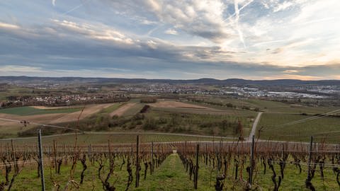 Blick auf das Winsberger Tal mit Grantschen, Ellhofen und Weinsberg. Im Vordergrund ein Weinberg am Wildenberg. Februar 2020.
