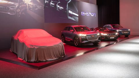Bild zeigt Elektromodelle von Audi wie den eTron GT (Foto: Audi AG)