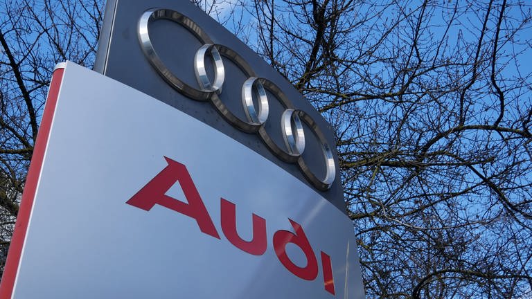 Warnstreik bei Audi in Neckarsulm (Foto: SWR, Jürgen Härpfer)