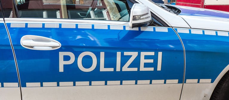 Polizeiauto (Symbolbild) (Foto: SWR)