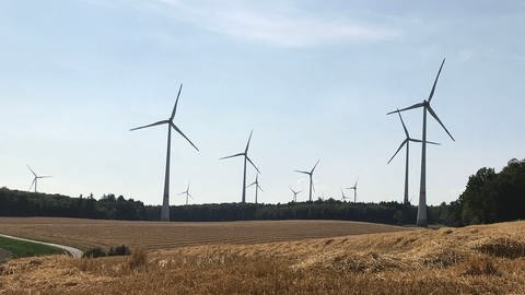 Windräder - Symbolbild: Ein Unternehmen will zwischen Öhringen und Waldenburg insgesamt neun Windräder bauen. (Foto: SWR)